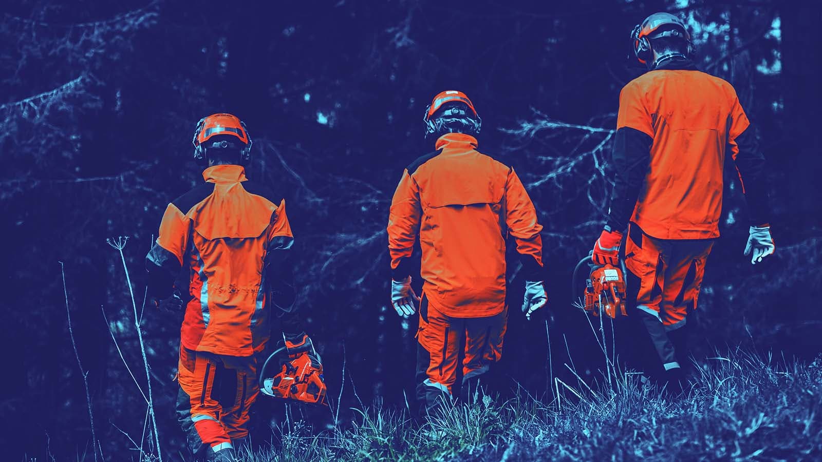 Datos y drones como “extintor digital” de incendios forestales