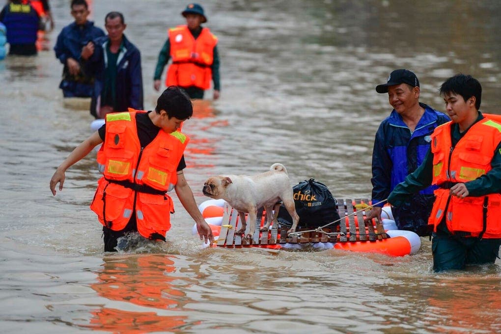 Vietnam bajo el agua: reportan 55 muertos y miles de evacuados por devastadoras inundaciones ( FOTOS )