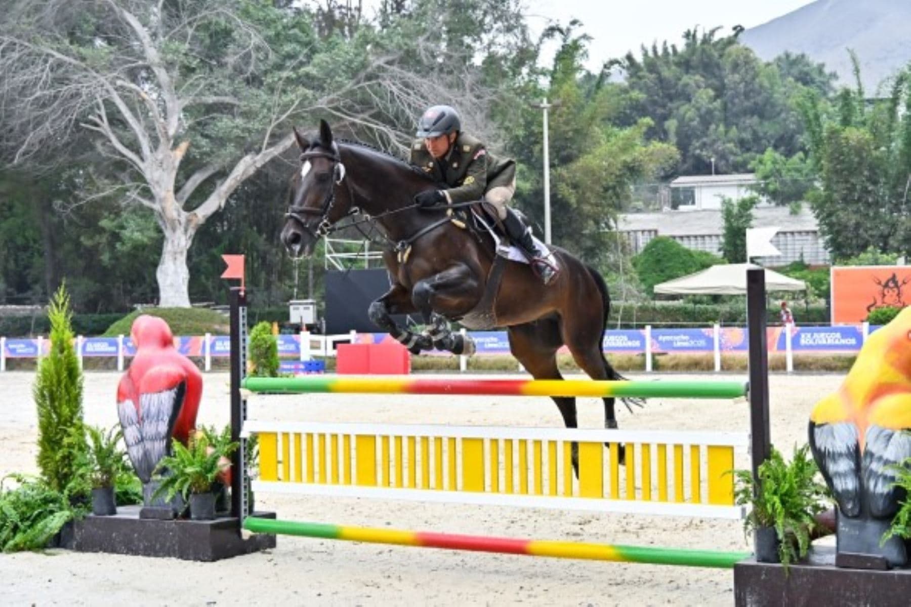 Juegos Bolivarianos: selección peruana de deporte ecuestre logra nueva medalla de plata