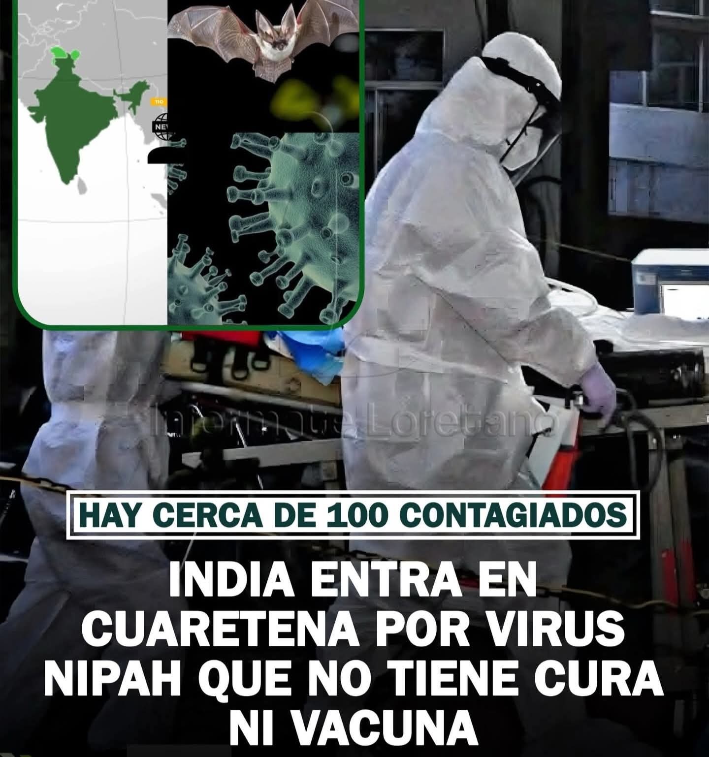 APARECE VIRUS LETAL NIPAH EN LA INDIA QUE NO TIENE CURA MÁS DE 100 INFECTADOS EN CUARENTENA