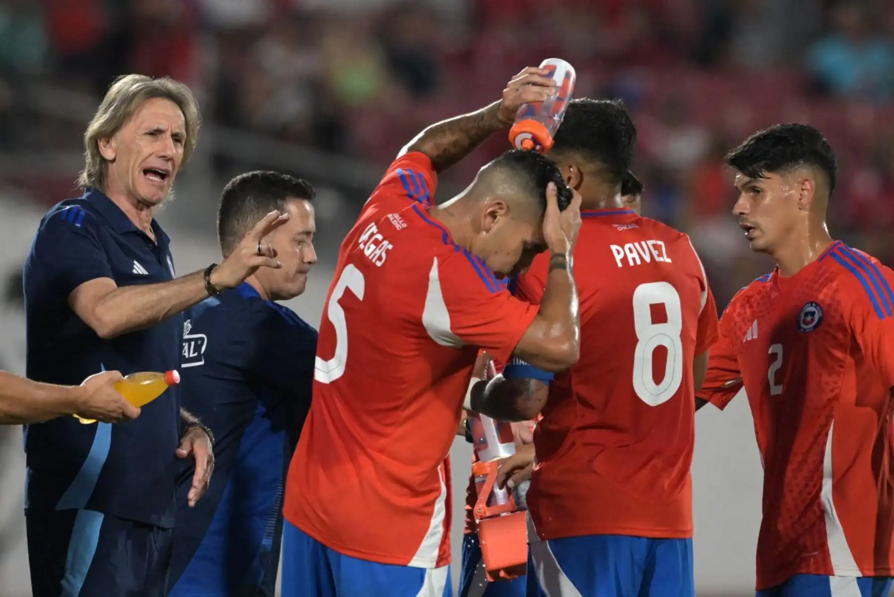 Ricardo Gareca asegura que Esteban Pavez es un "gran refuerzo" para Alianza Lima